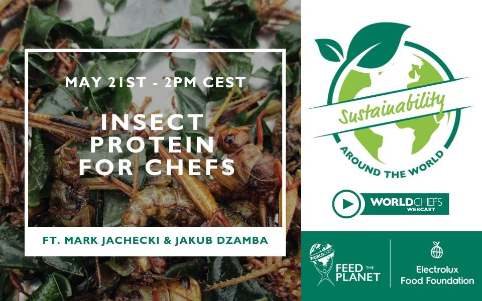 Sustainability Around the World #48:  Insect Protein for Chefs: The Next Frontier in Sustainable Cuisine